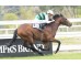  Carrera: P.Ercolini Monta: R.Sousa Caballo: Rojiblanco